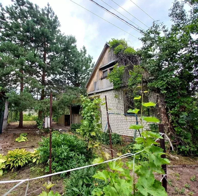 Дом в Саратовская область, д. Долгий Буерак, Новь СНТ 64 (43 м) - Фото 1