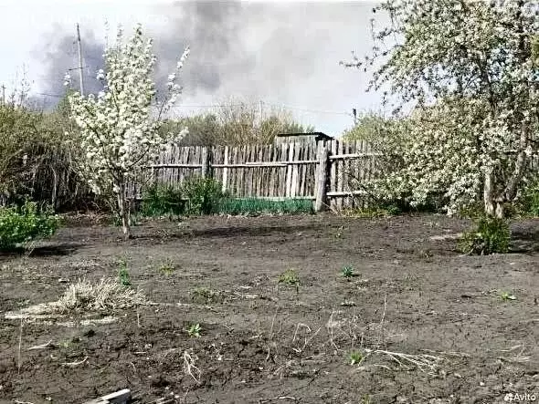 Участок в Курганская область, Кетовский муниципальный округ, село ... - Фото 1