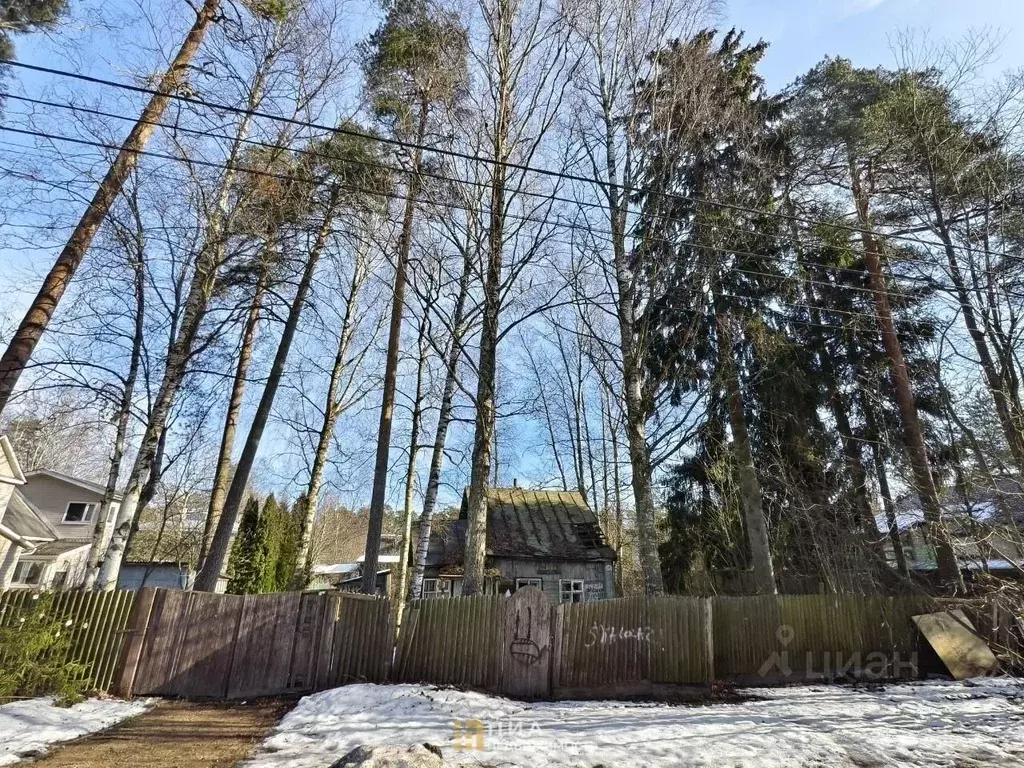 Участок в Санкт-Петербург Поселок Лисий НОС, ул. Холмистая, 49 (10.0 ... - Фото 1