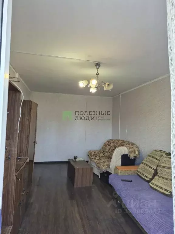 1-к кв. Курганская область, Курган ул. Криволапова, 17 (30.0 м) - Фото 2