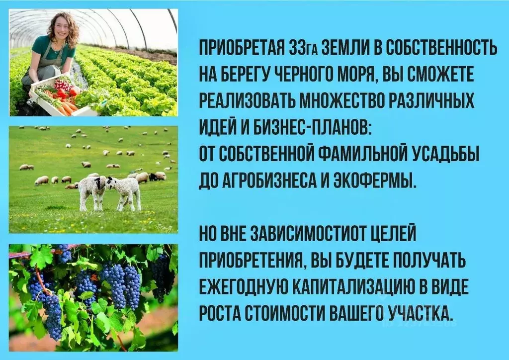 Участок в Крым, Сакский район, Суворовское с/пос, с. Великое  (3300.0 ... - Фото 2