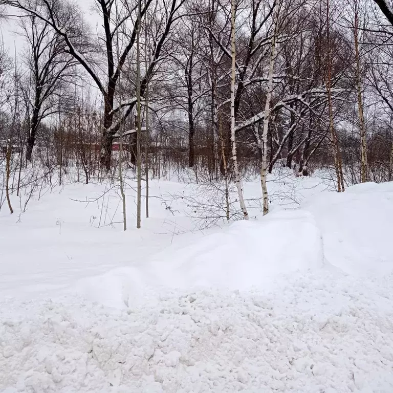 Участок в Московская область, Егорьевск пер. 2-й Русанцевский (10.0 ... - Фото 2
