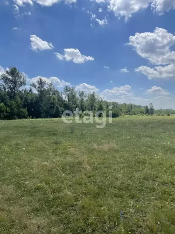 Участок в Белгородская область, Старооскольский городской округ, ... - Фото 0