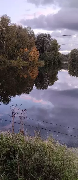 Участок в Удмуртия, Воткинский район, д. Молчаны  (25.0 сот.) - Фото 0