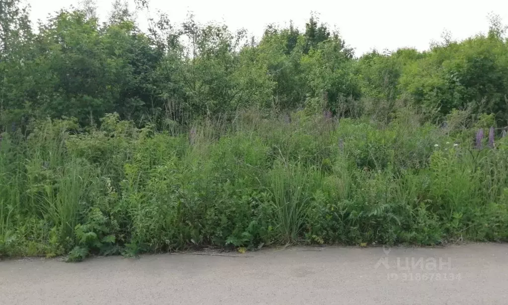 Участок в Нижегородская область, с. Дивеево ул. Вознесенская, 17 ... - Фото 2