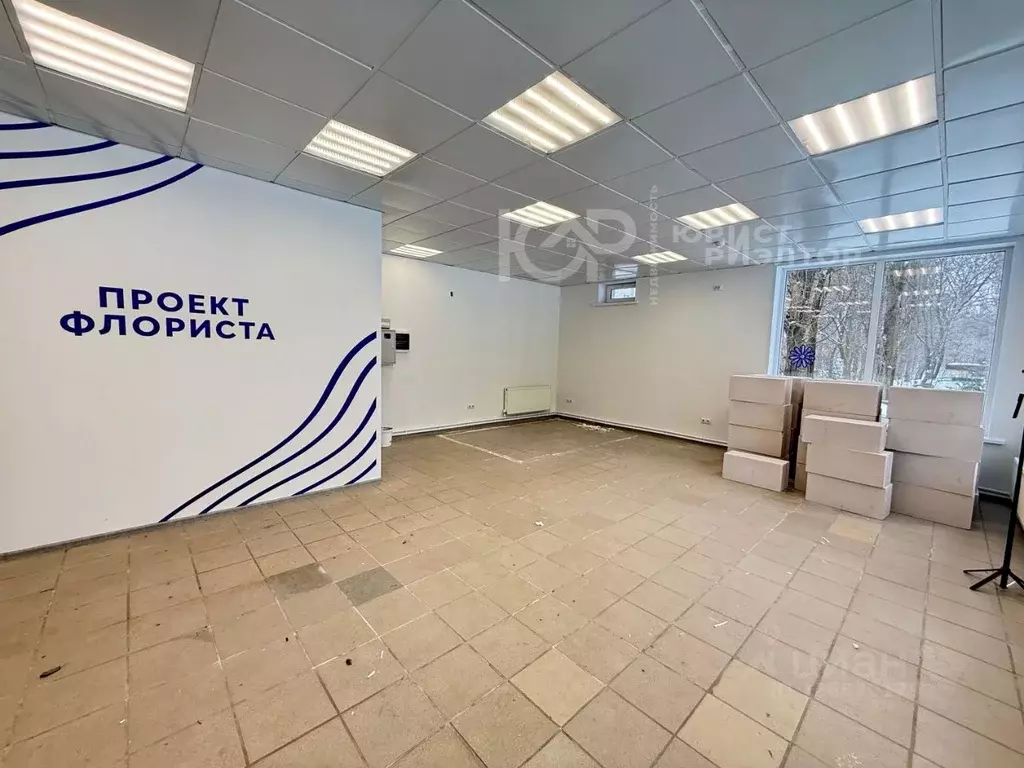 Торговая площадь в Воронежская область, Воронеж ул. Владимира ... - Фото 1