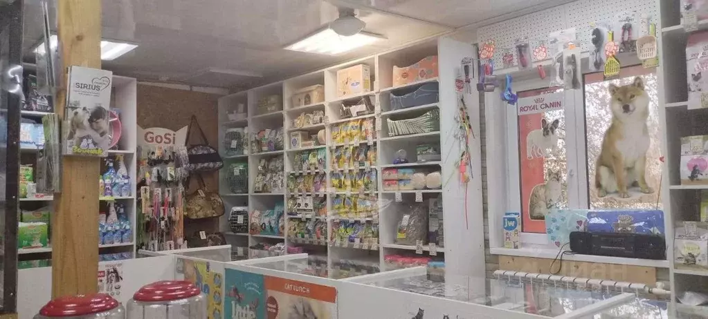 Помещение свободного назначения в Московская область, Подольск ... - Фото 2