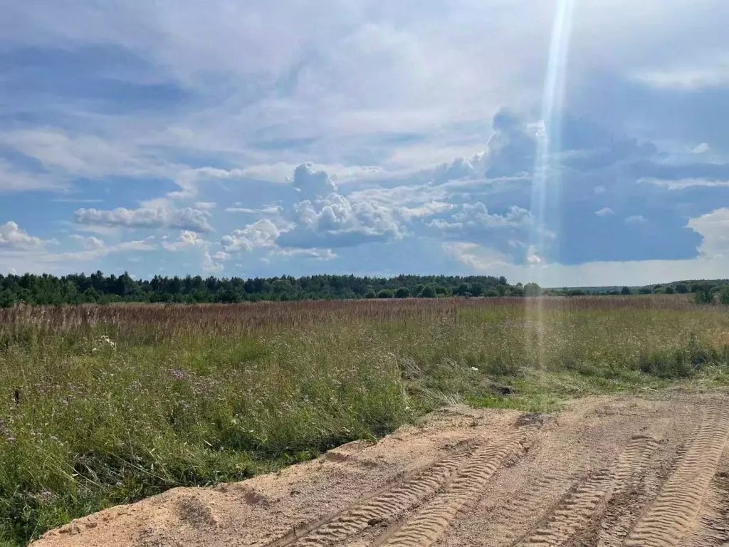 Участок в Тверская область, Калининский муниципальный округ, д. ... - Фото 2