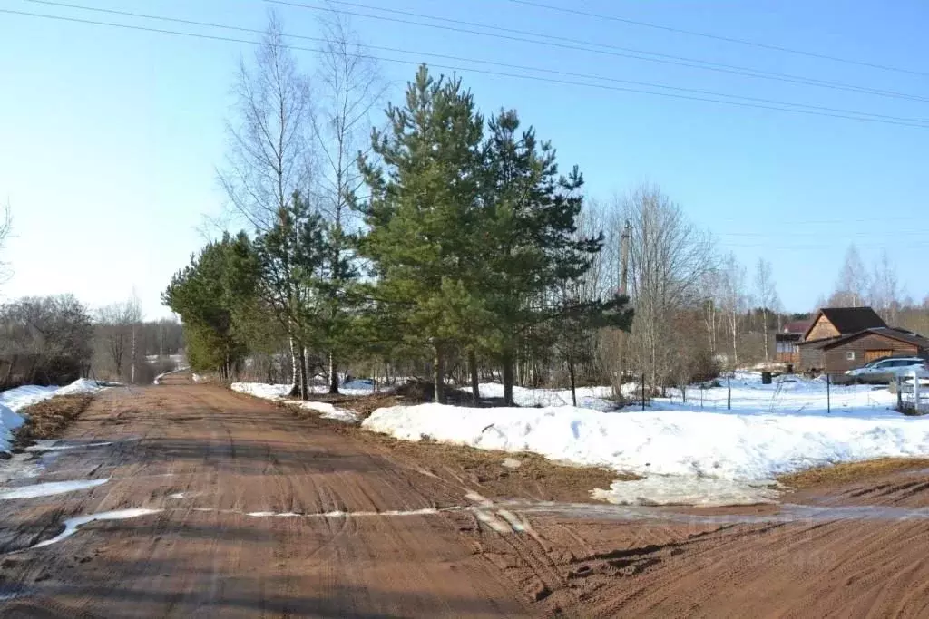 Участок в Тверская область, Осташковский муниципальный округ, д. ... - Фото 1