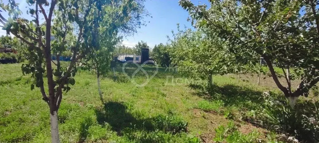 Дом в Волгоградская область, Волгоград Березка СНТ, ул. Элеваторная ... - Фото 2