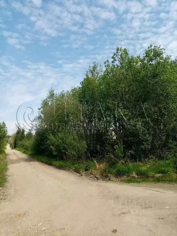 Участок в Ленинградская область, Лодейнопольский район, Алеховщинское ... - Фото 1