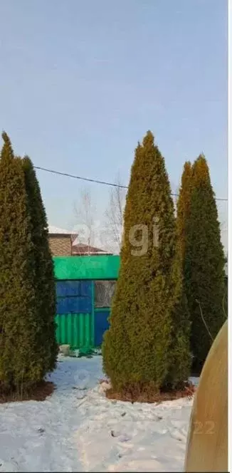 Дом в Москва Марушкинское поселение, д. Крекшино, 24 (50 м) - Фото 1