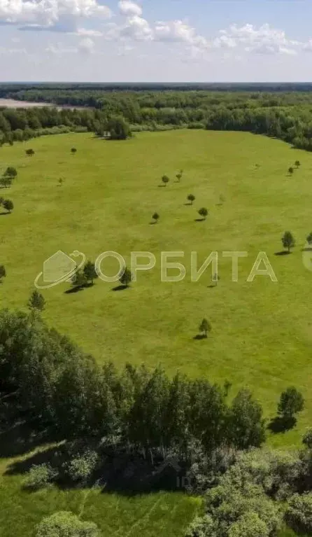 Участок в Тюменская область, Нижнетавдинский муниципальный округ, д. ... - Фото 2