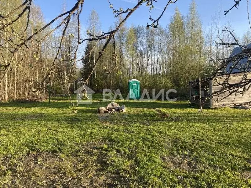 Участок в Ленинградская область, Волховский район, Кисельнинское ... - Фото 1