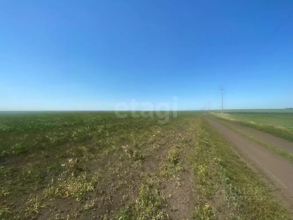 Участок в Белгородская область, Белгородский район, с. Стрелецкое  ... - Фото 1