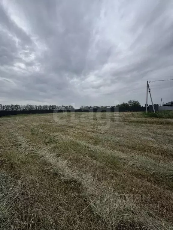 Участок в Ростовская область, Мясниковский район, Краснокрымское ... - Фото 0