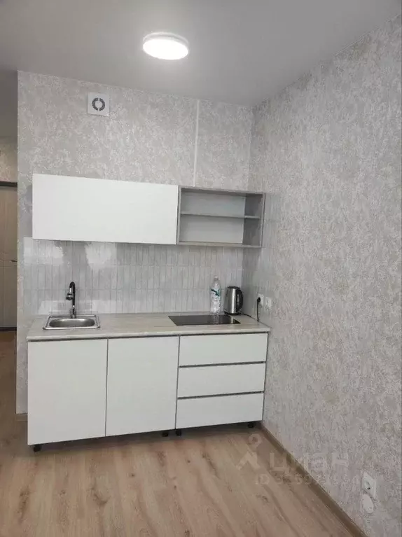 Студия Пермский край, Пермский муниципальный округ, с. Фролы ул. ... - Фото 1