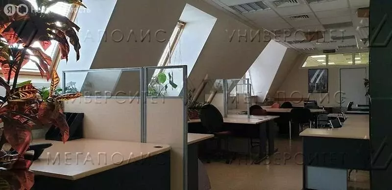 Офис (21 м) - Фото 2