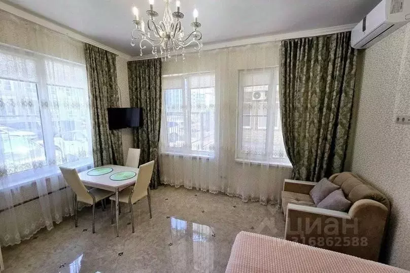 1-к кв. Краснодарский край, Сириус пгт ул. Субтропическая, 6 (25.0 м) - Фото 1