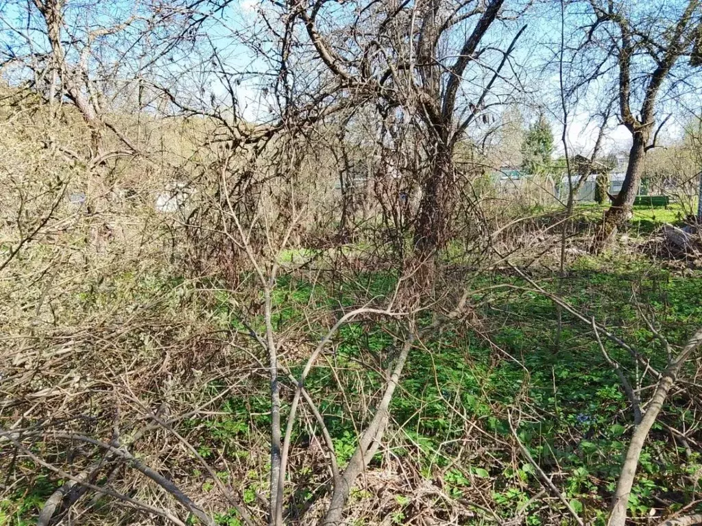 Участок в Нижегородская область, Нижний Новгород Дубрава СНТ, 204 (6.1 ... - Фото 1