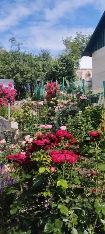 Дом в Воронежская область, Воронеж ул. Рабочего класса (65 м) - Фото 1