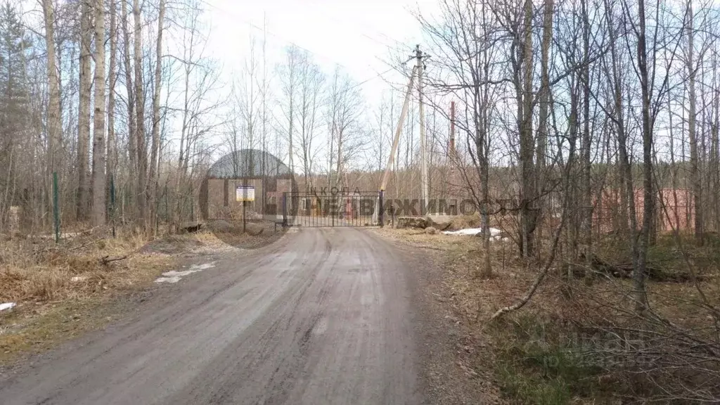 Участок в Ленинградская область, Приозерский район, Ларионовское ... - Фото 1