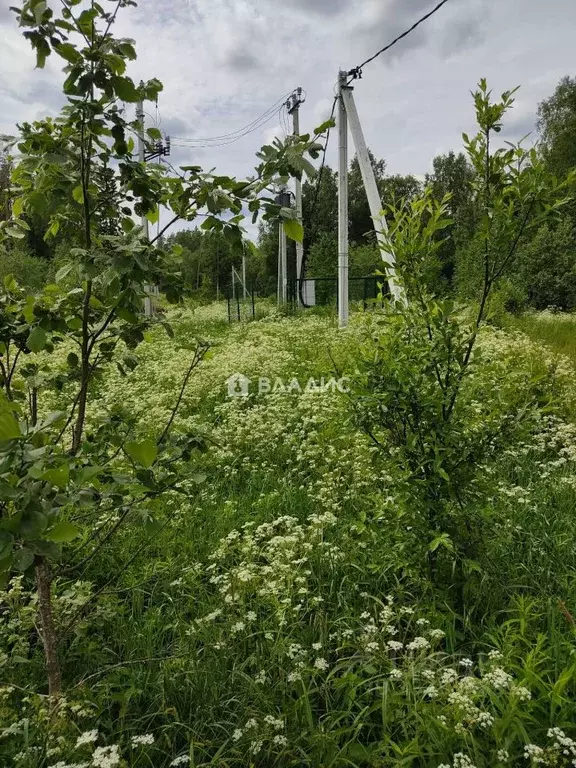 Участок в Ленинградская область, Приозерский район, Ларионовское ... - Фото 1