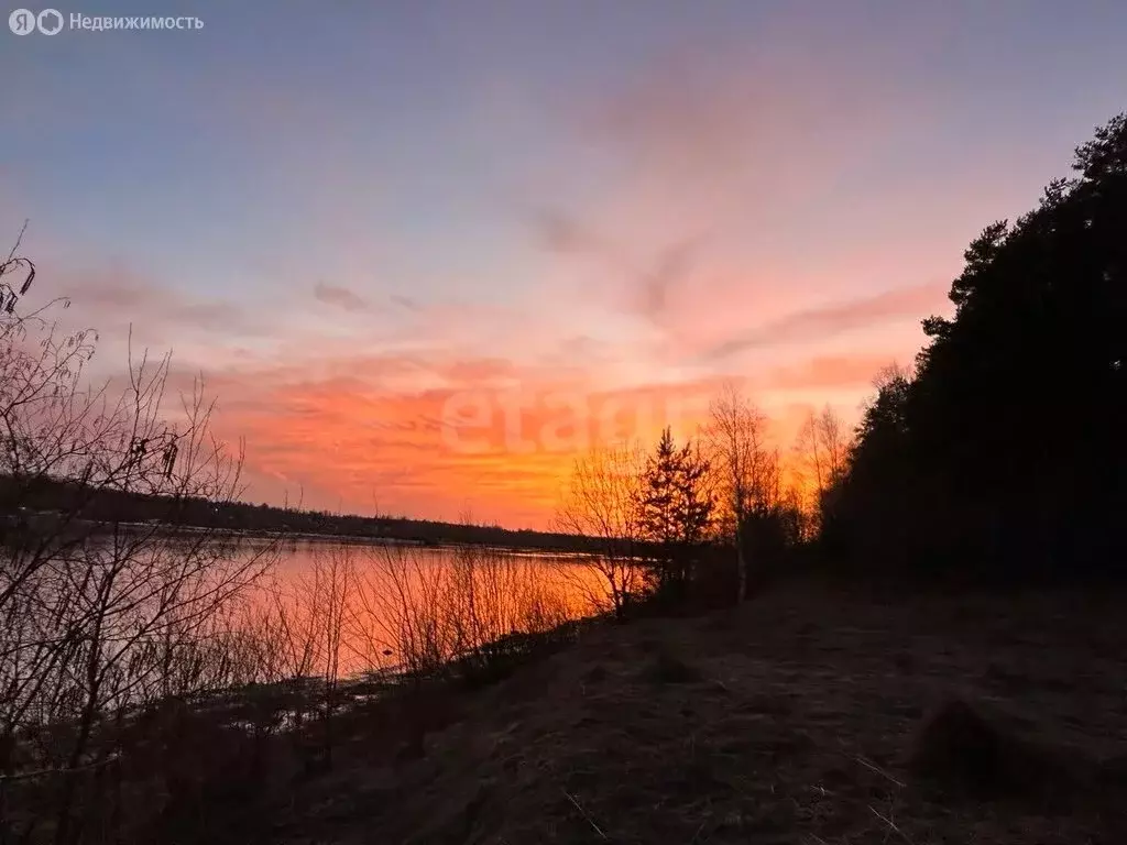 Участок в Ярославская область, Рыбинский муниципальный округ, деревня ... - Фото 2