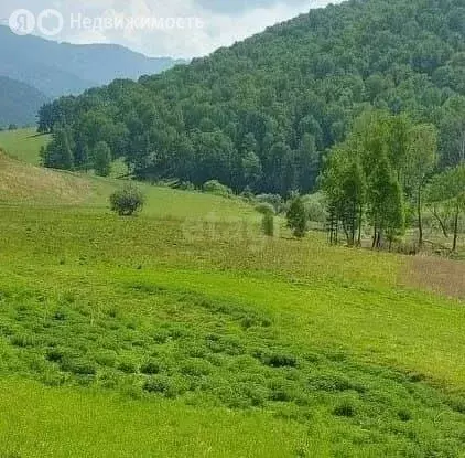 Участок в Шебалинский район, село Шебалино (110 м) - Фото 0