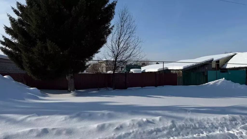 Участок в Тюменская область, Заводоуковск ул. Республики (9.9 сот.) - Фото 2