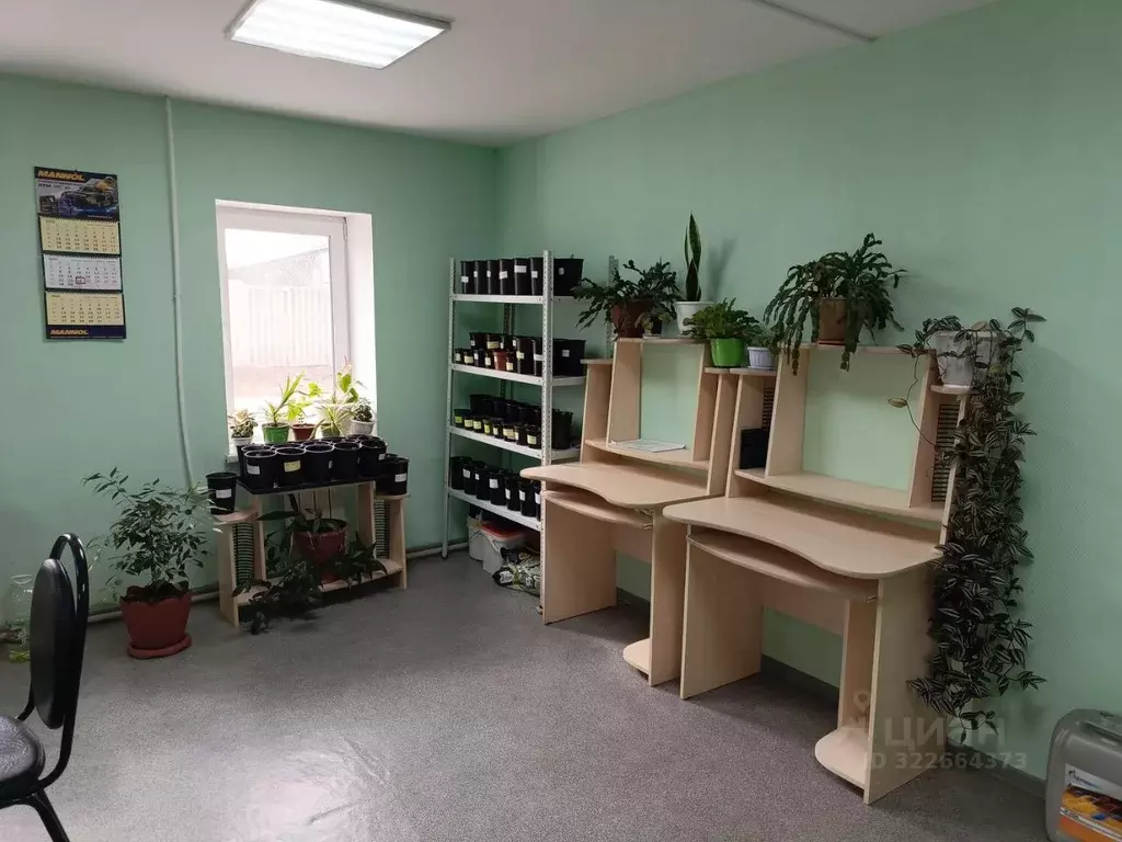 Помещение свободного назначения в Пензенская область, Беково рп ул. ... - Фото 1