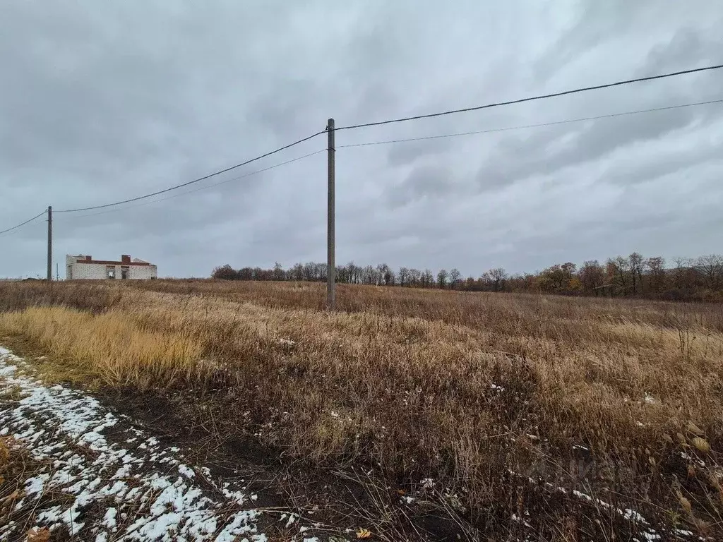 Участок в Белгородская область, Белгород ул. Дарницкая (15.0 сот.) - Фото 1