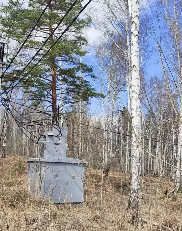 Участок в Иркутская область, Иркутский муниципальный округ, Зеленый ... - Фото 0