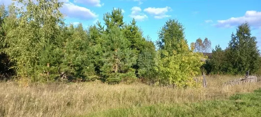 Участок в Новосибирская область, Ордынский район, с. Красный Яр ул. ... - Фото 0