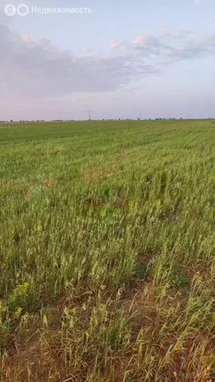 Участок в Сакский район, Суворовское сельское поселение, село Великое ... - Фото 2