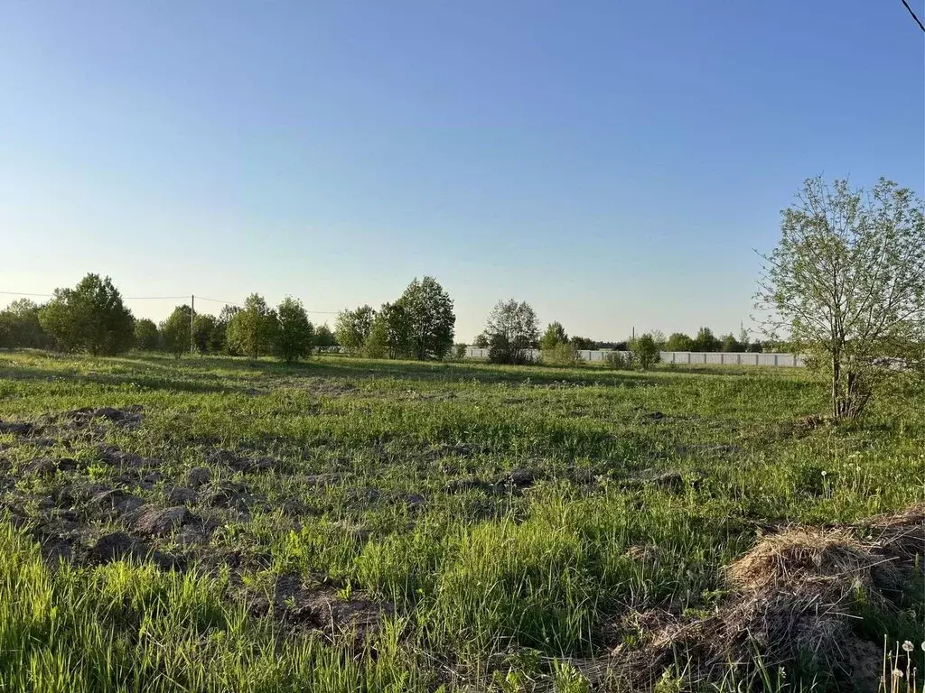 Участок в Владимирская область, Александровский район, Андреевское ... - Фото 0