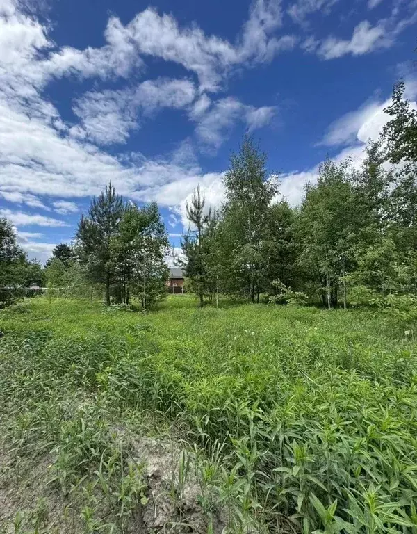 Участок в Московская область, Павлово-Посадский городской округ, ... - Фото 1