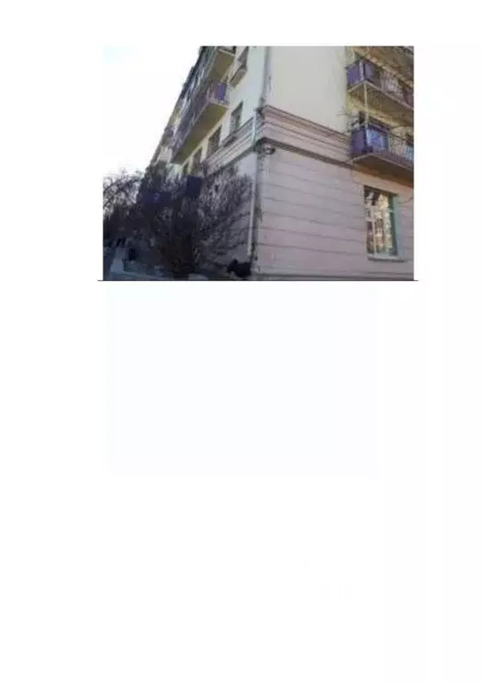 Помещение свободного назначения в Забайкальский край, Чита ул. ... - Фото 0