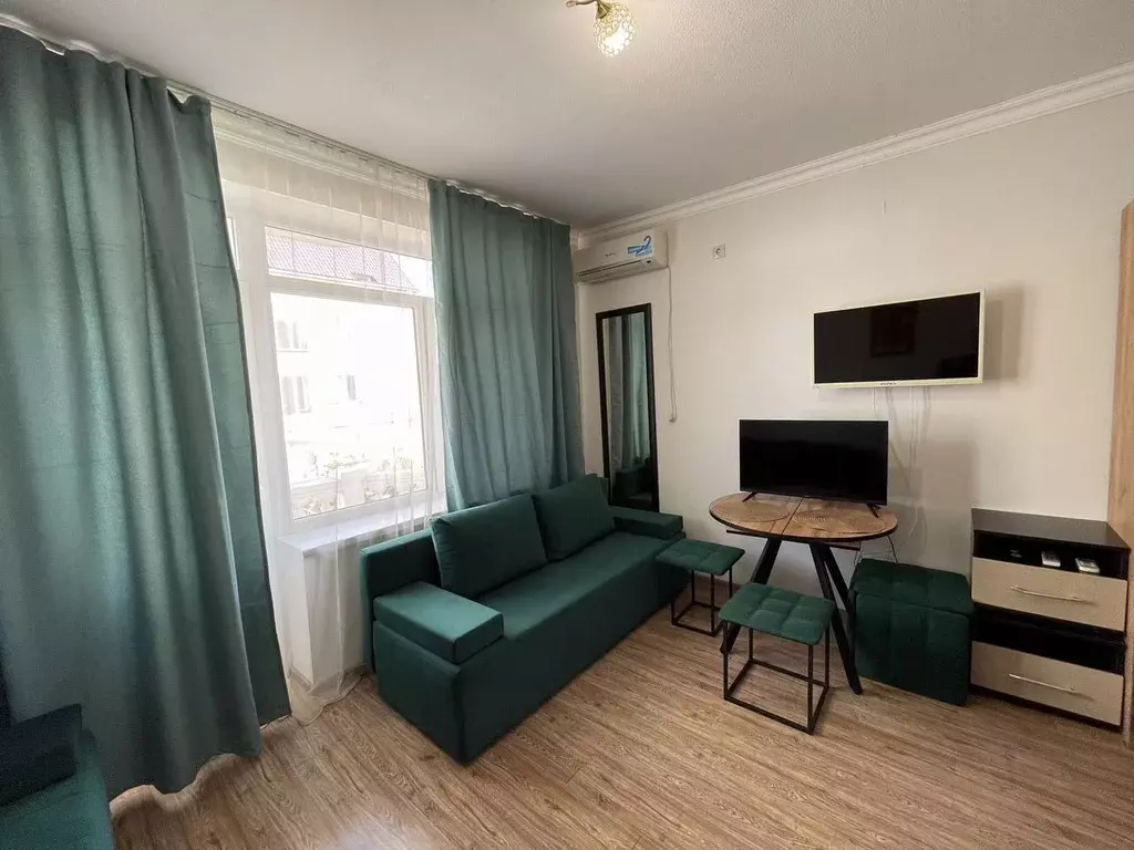 1-к кв. Краснодарский край, Сочи Главная ул., 45 (25.0 м) - Фото 1