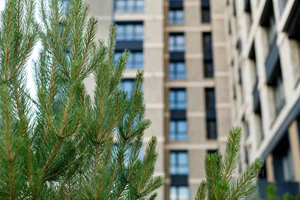 4-к кв. Иркутская область, Иркутск Култукская ул., 16 (86.0 м) - Фото 2