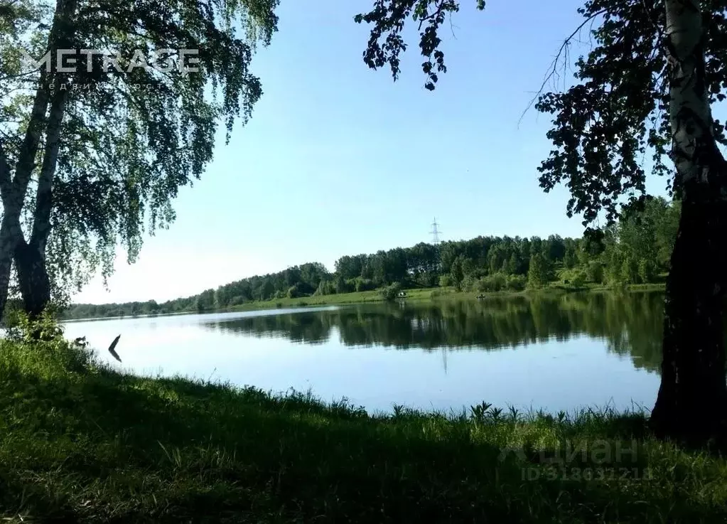 Участок в Новосибирская область, Новосибирский район, Станционный ... - Фото 0