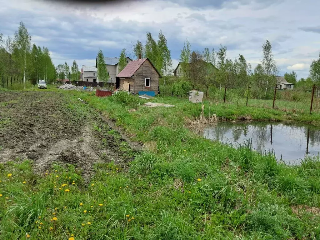 Участок в Тверская область, Конаковский муниципальный округ, д. Старое ... - Фото 1
