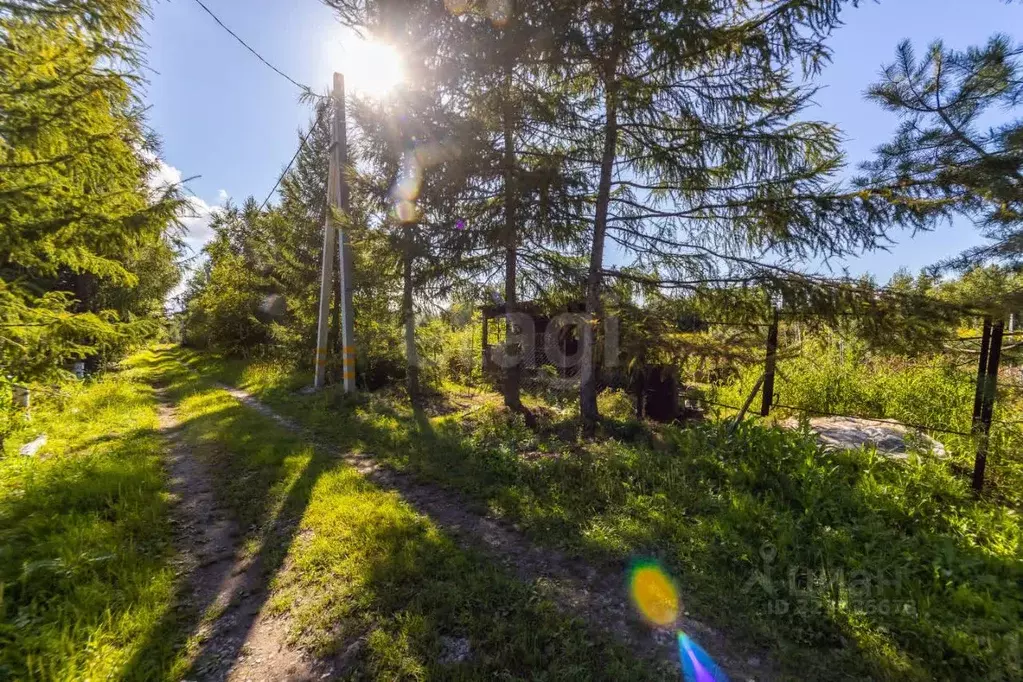 Участок в Хабаровский край, Хабаровск Механик садовое товарищество, 49 ... - Фото 1