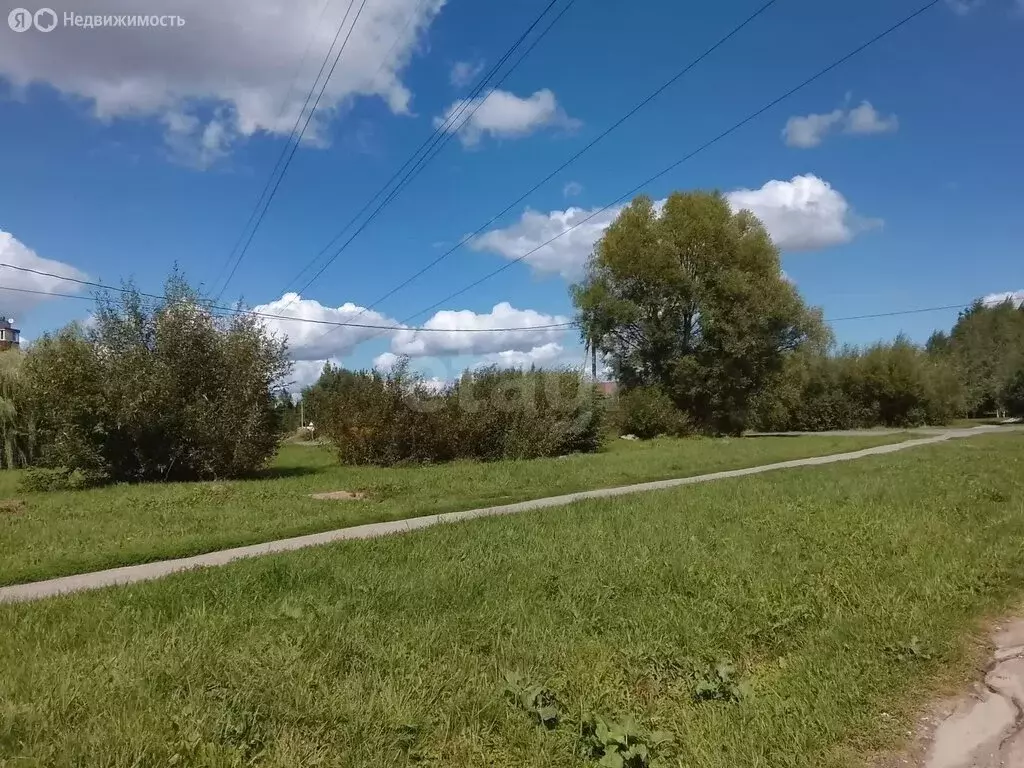 Участок в Белёвский район, сельское поселение Правобережное (24 м) - Фото 2