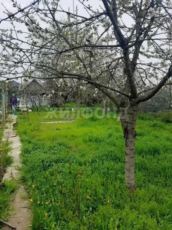 Дом в село Винсады, СНТ Труженик, 3-я линия (16 м) - Фото 2