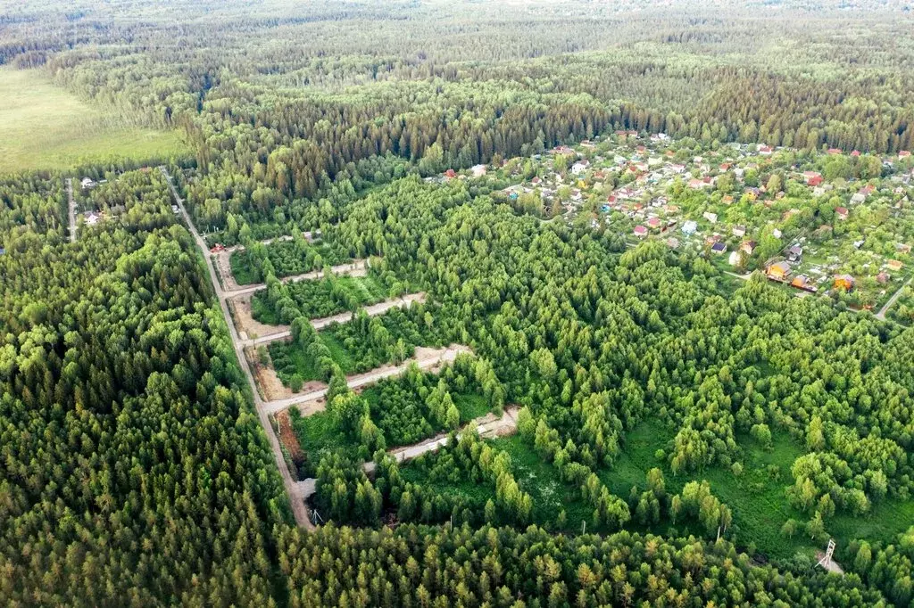 Участок В Нижних Осельках Купить