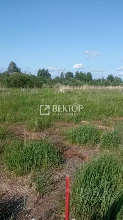 Участок в Костромская область, Кострома проезд Ситцевый (11.7 сот.) - Фото 1