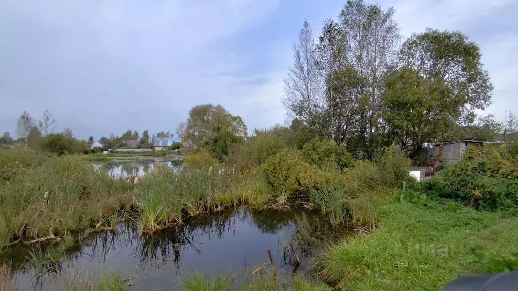 Участок в Тверская область, Конаковский муниципальный округ, Урожай ... - Фото 1