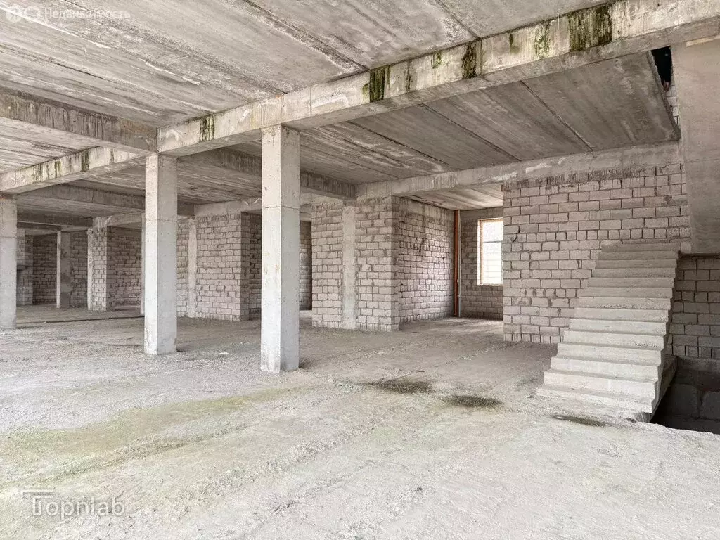 Торговая площадь (91.71 м) - Фото 2