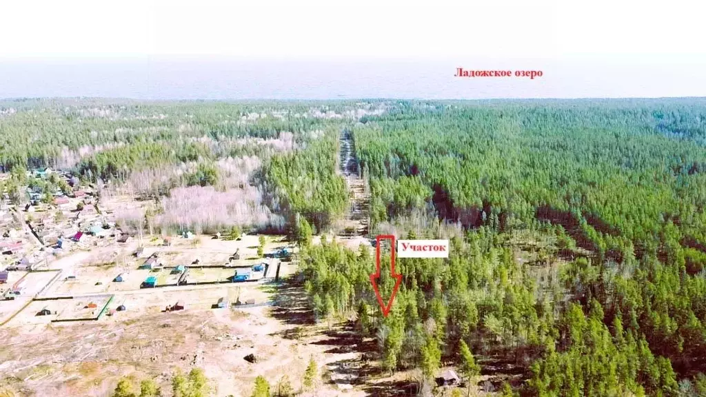 Участок в Ленинградская область, Приозерский район, Ларионовское ... - Фото 0